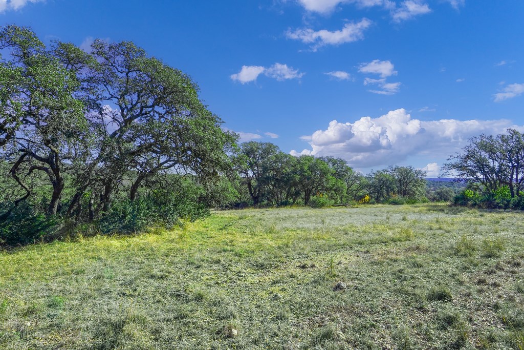 1365 North Walnut Springs Road, Unit 69 Johnson City, TX 78636 - Photo 26 of 41 a view of outdoor space and yard
