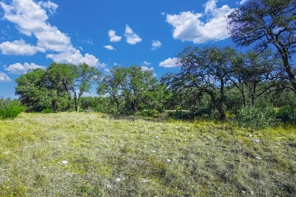 1365 North Walnut Springs Road, Unit 69 Johnson City, TX 78636 - Photo 27 of 41