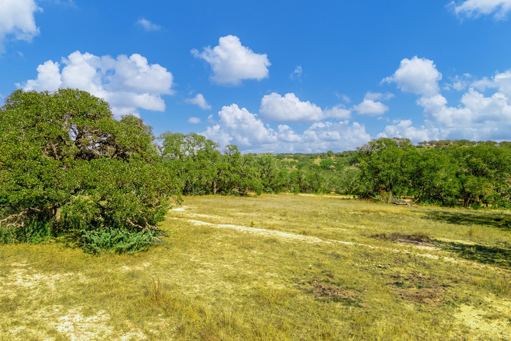 1365 North Walnut Springs Road, Unit 69 Johnson City, TX 78636 - Photo 29 of 41 a view of an ocean and a yard