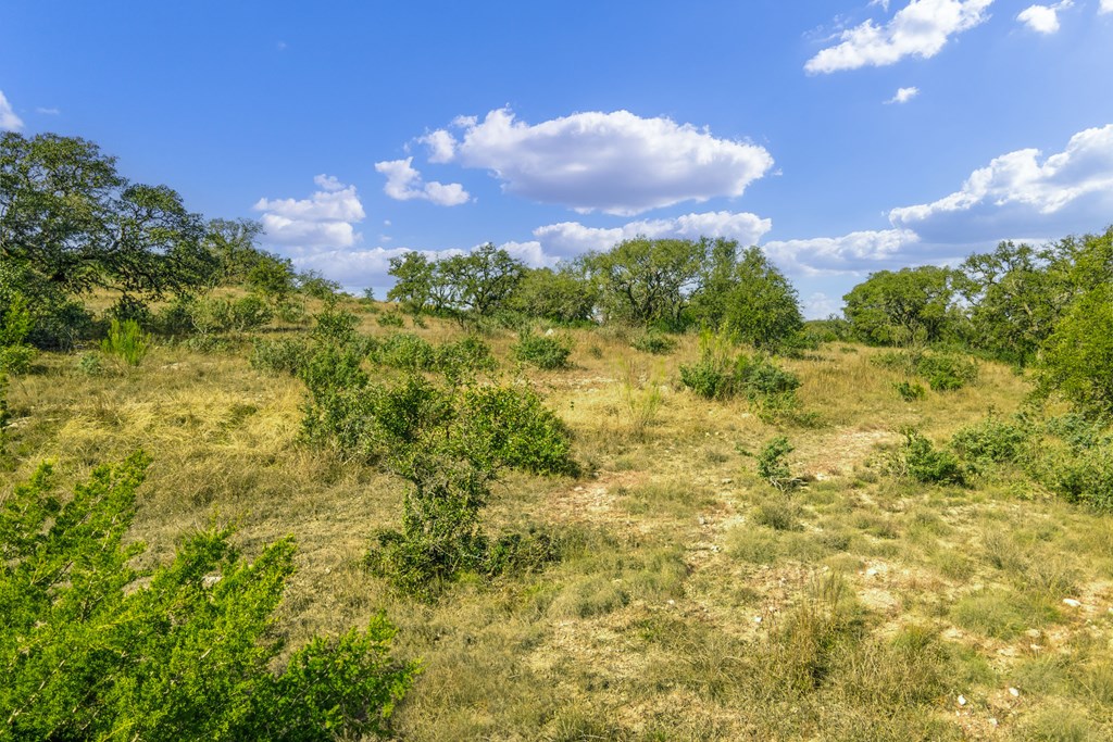 1365 North Walnut Springs Road, Unit 69 Johnson City, TX 78636 - Photo 3 of 41 a view of a flower in a garden