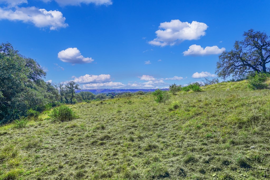 1365 North Walnut Springs Road, Unit 69 Johnson City, TX 78636 - Photo 6 of 41 a view of a flower in a yard