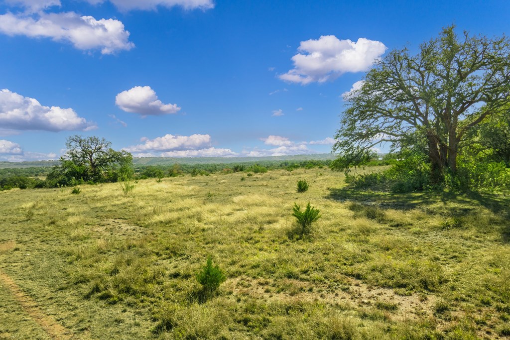 1365 North Walnut Springs Road, Unit 69 Johnson City, TX 78636 - Photo 8 of 41 a view of a big yard with swimming pool and large tree