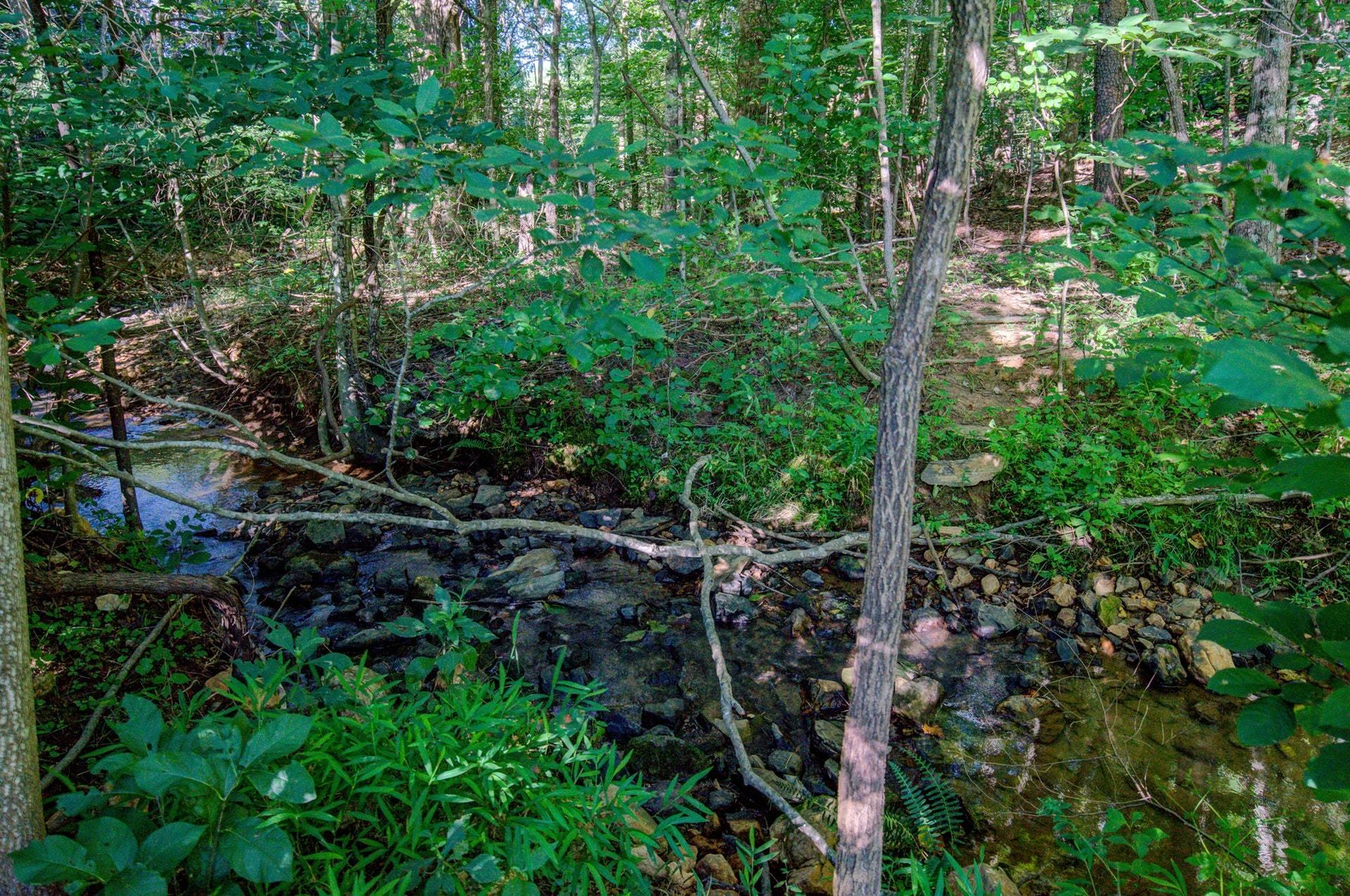 301 Turners Creek Road Callaway, VA 24067 - Photo 50 of 60 047-325434-301 Turners Creek Road 0047_8