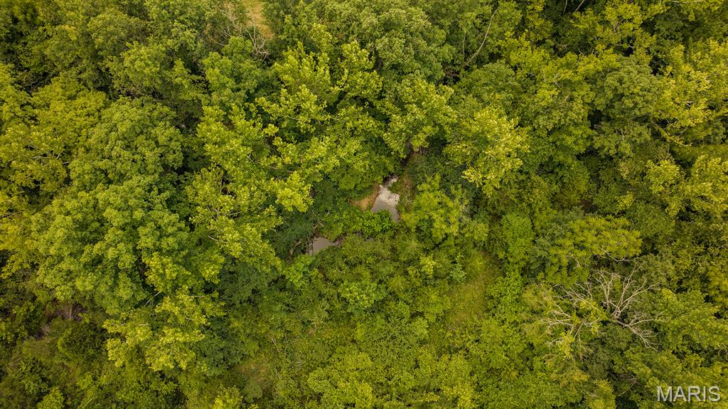 2164 Wayne 220 B Road Silva, MO 63964 - Photo 17 of 27