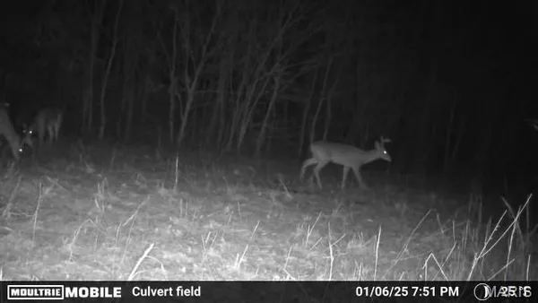 $218,000 | 2164 Wayne 220 B Road, Silva, MO 63964