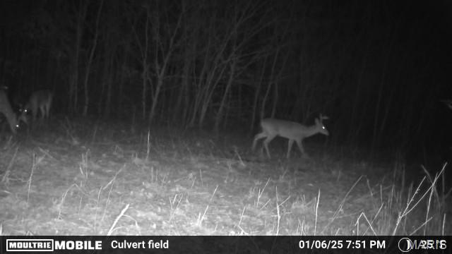 2164 Wayne 220 B Road Silva, MO 63964 - Photo 23 of 27