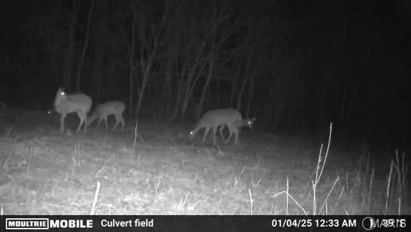 $218,000 | 2164 Wayne 220 B Road, Silva, MO 63964