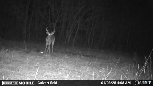 2164 Wayne 220 B Road Silva, MO 63964 - Photo 25 of 27