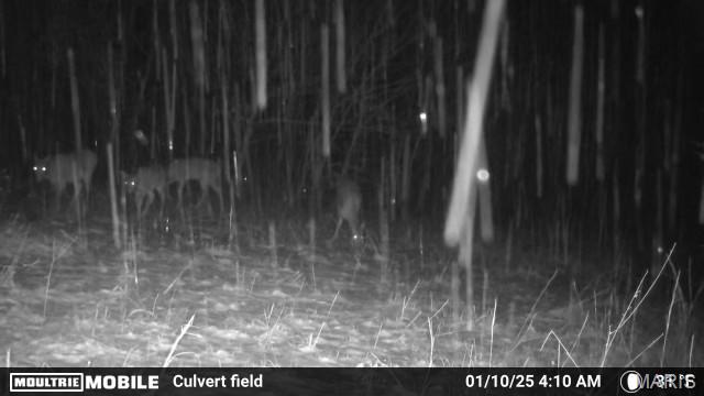 2164 Wayne 220 B Road Silva, MO 63964 - Photo 26 of 27