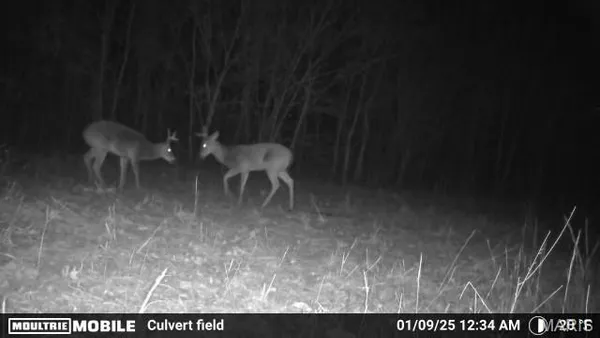 $218,000 | 2164 Wayne 220 B Road, Silva, MO 63964