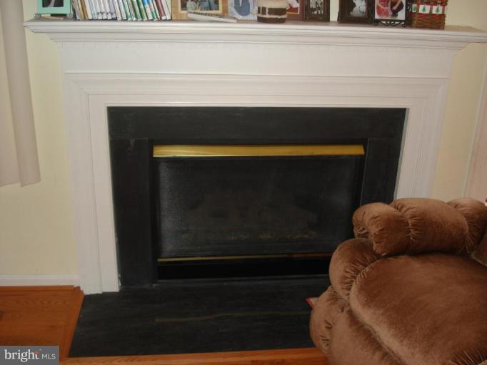4909 Webbed Foot Way, Unit 5 Ellicott City, MD 21043 - Photo 15 of 25 Fireplace