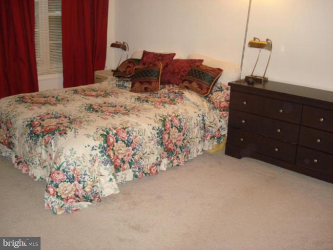 4909 Webbed Foot Way, Unit 5 Ellicott City, MD 21043 - Photo 23 of 25 Bedroom #1