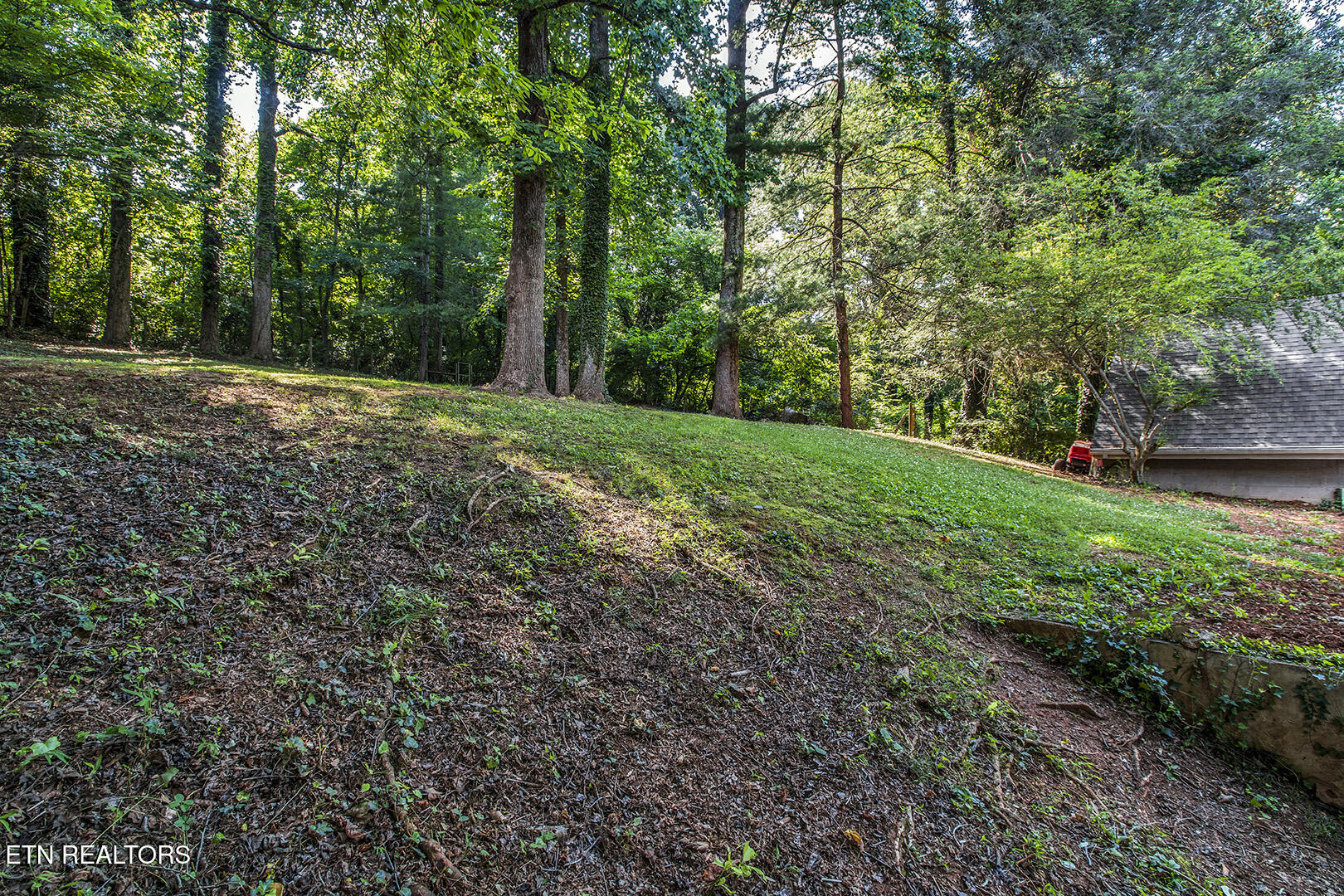 102 Oxford Road Oak Ridge, TN 37830 - Photo 54 of 59 55_OxfordRoad_102_Backyard