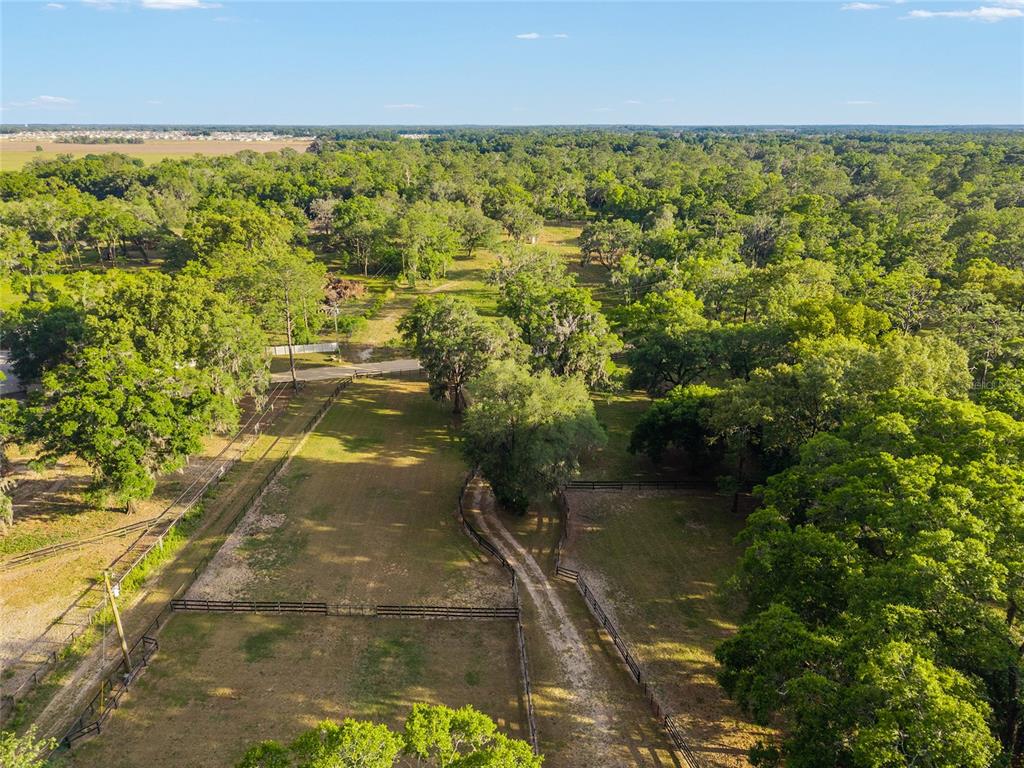 8117 Southwest 41st Place Road Ocala, FL 34481 - Photo 23 of 55
