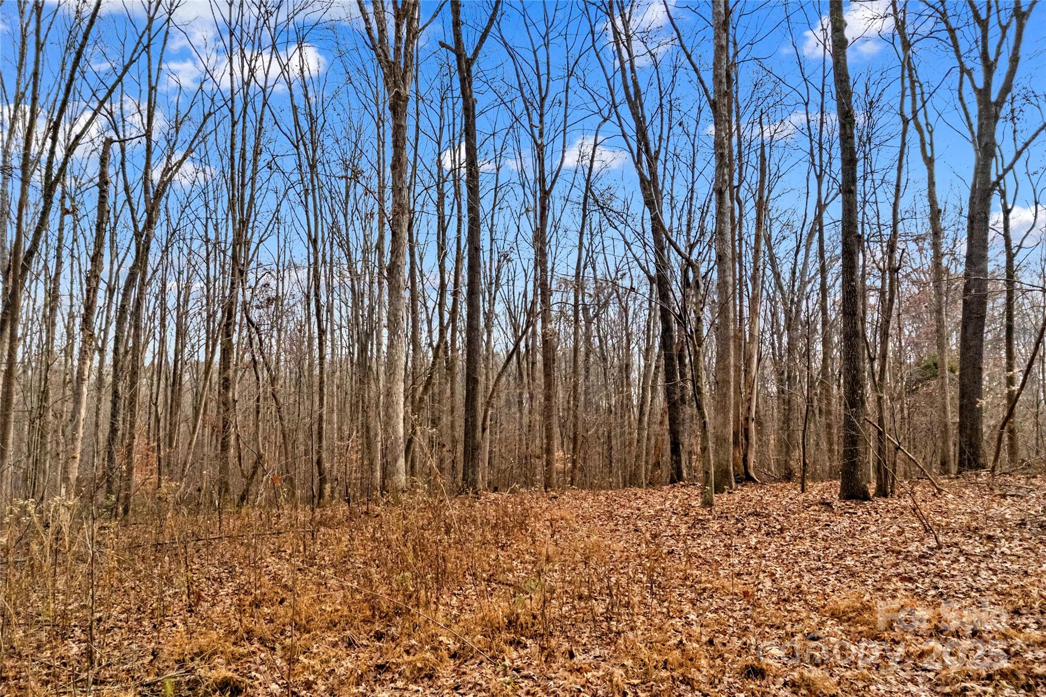 338 Piney Grove Road Harmony, NC 28634 - Photo 11 of 44 a wooden fence with some trees