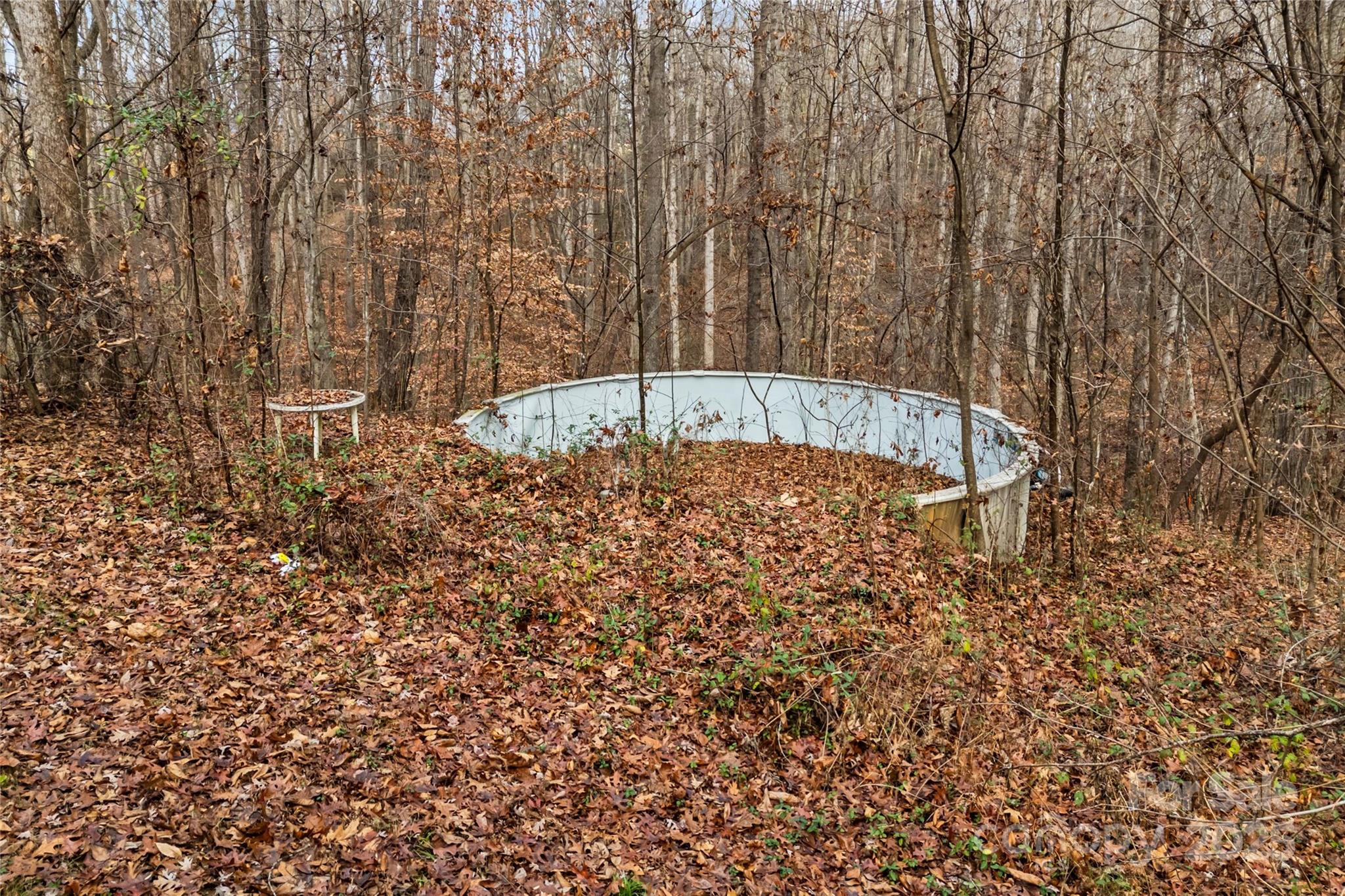 338 Piney Grove Road Harmony, NC 28634 - Photo 40 of 44 a view of a dry yard