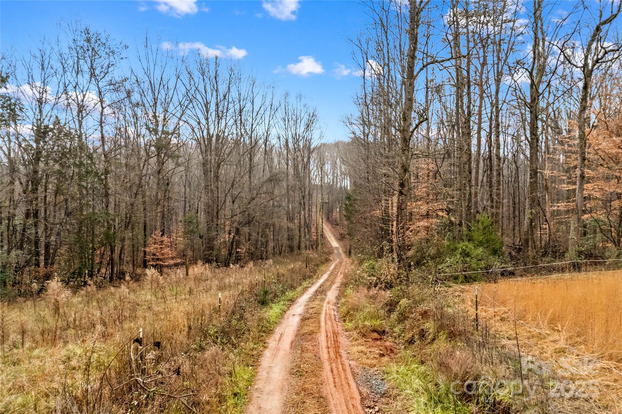 338 Piney Grove Road Harmony, NC 28634 - Photo 42 of 44 a view of a yard with trees