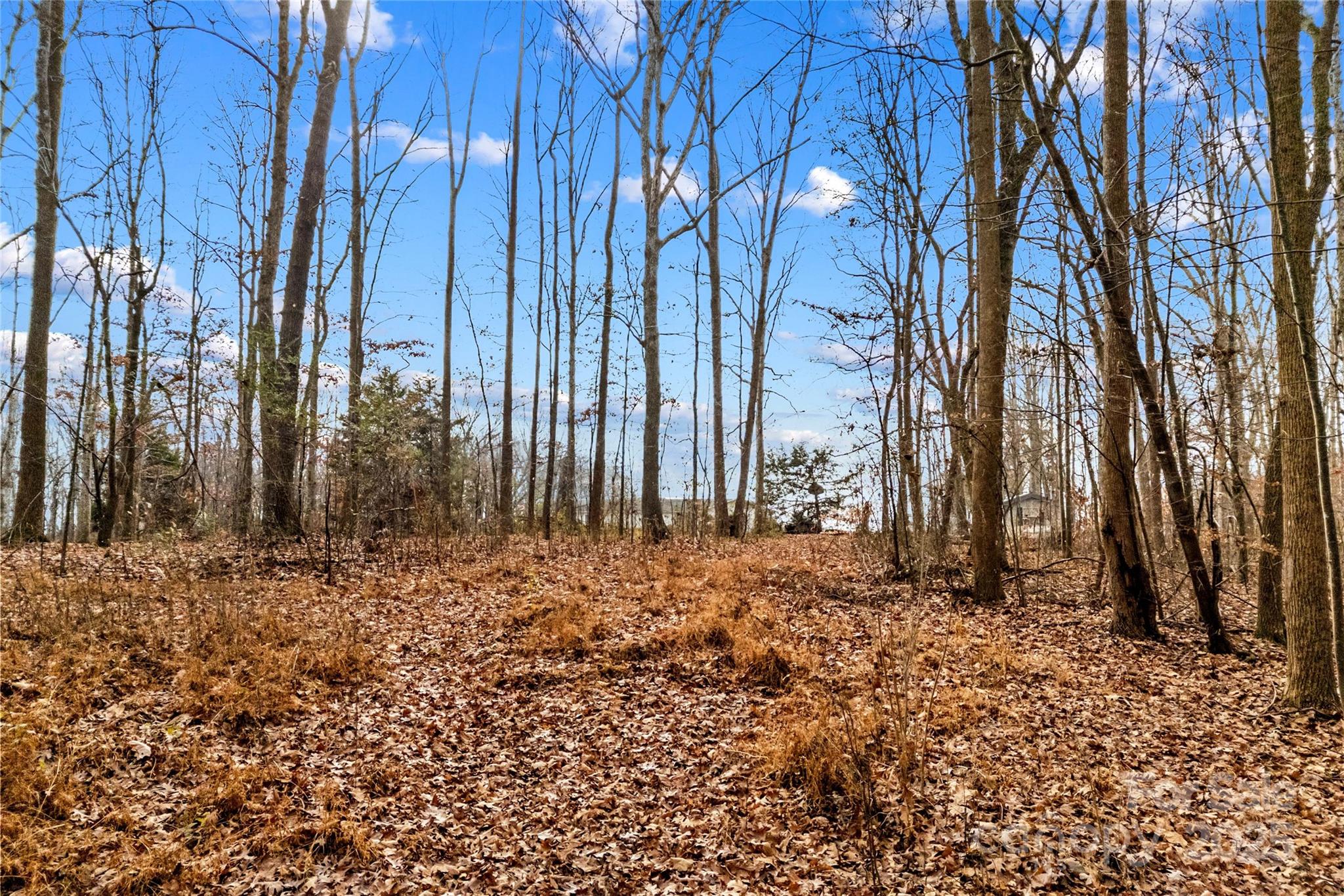 338 Piney Grove Road Harmony, NC 28634 - Photo 10 of 44 a view of a backyard of the house