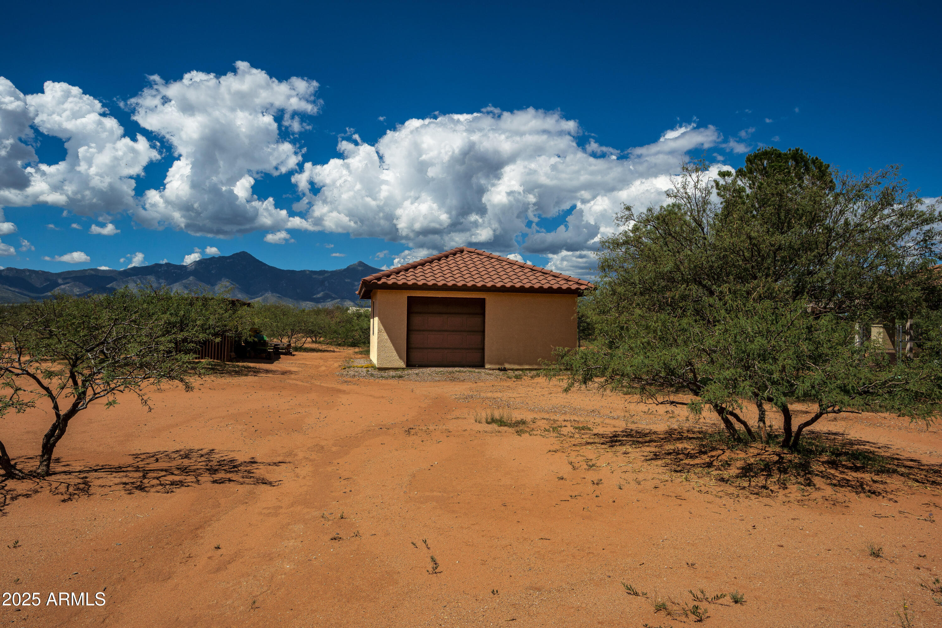 7072 South Ridling Drive Hereford, AZ 85615 - Photo 11 of 69 a big room with lots of trees