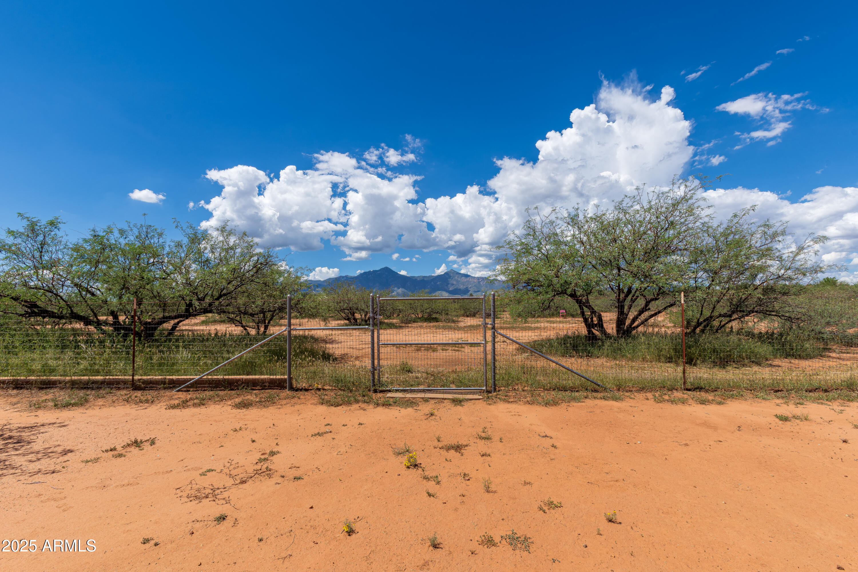 7072 South Ridling Drive Hereford, AZ 85615 - Photo 58 of 69 a view of a yard with a tree