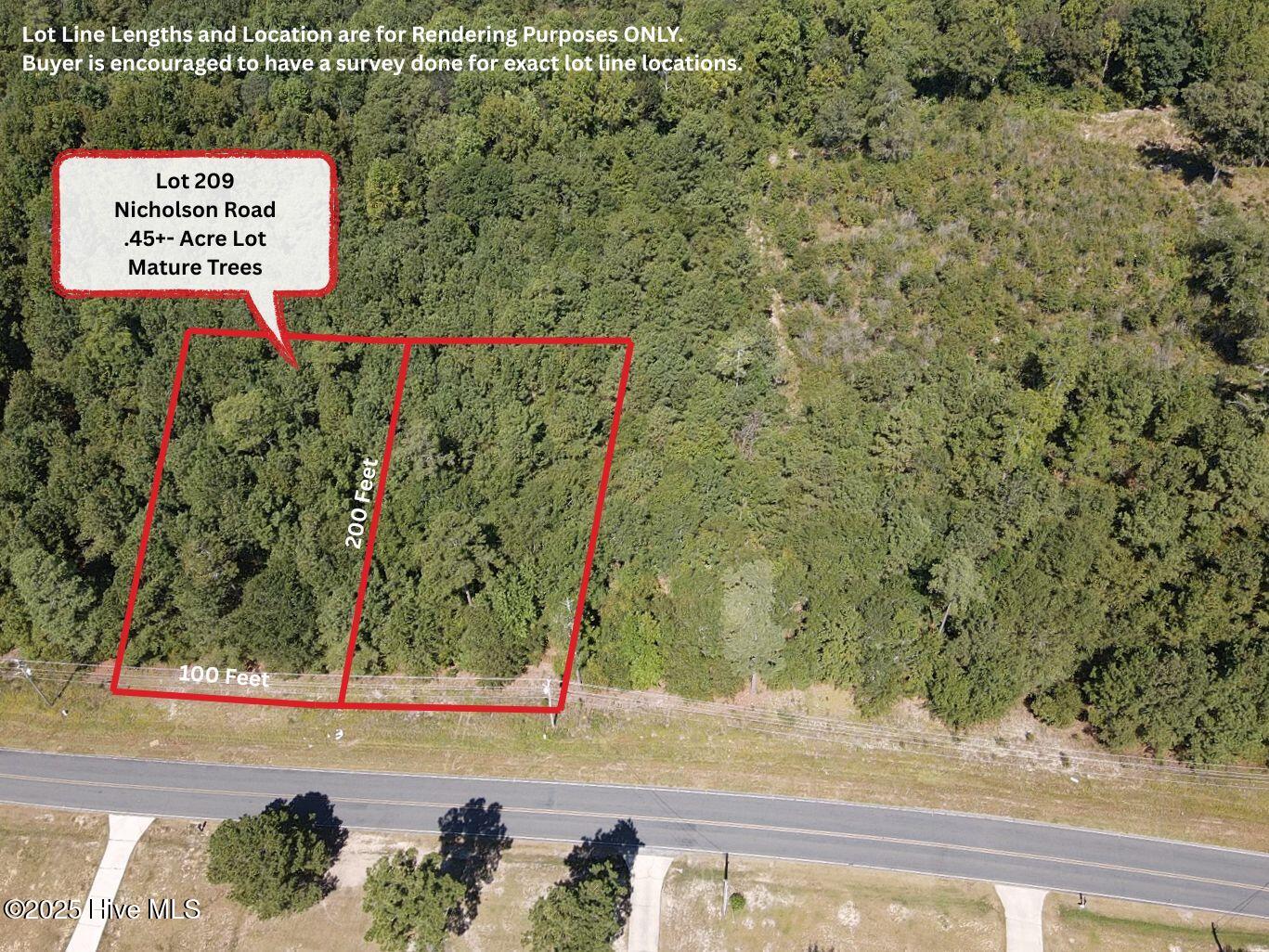 Lot 209 Nicholson Road Rockingham, NC 28379 - Photo 1 of 5 Lot 209