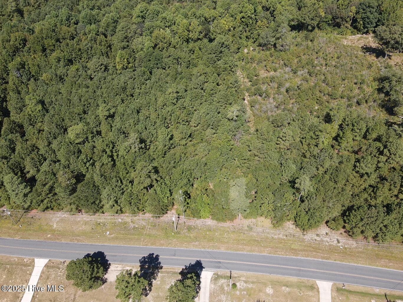 Lot 209 Nicholson Road Rockingham, NC 28379 - Photo 3 of 5 2025-09-02-11-30-46-406
