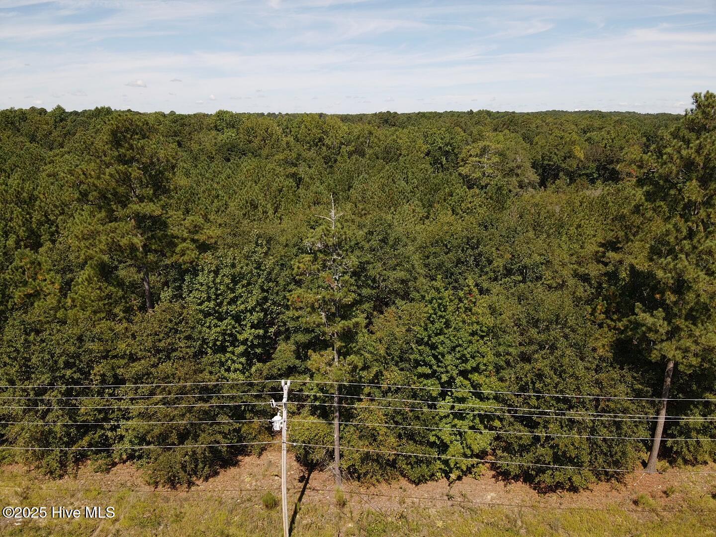 Lot 209 Nicholson Road Rockingham, NC 28379 - Photo 5 of 5 2025-09-02-11-32-23-436