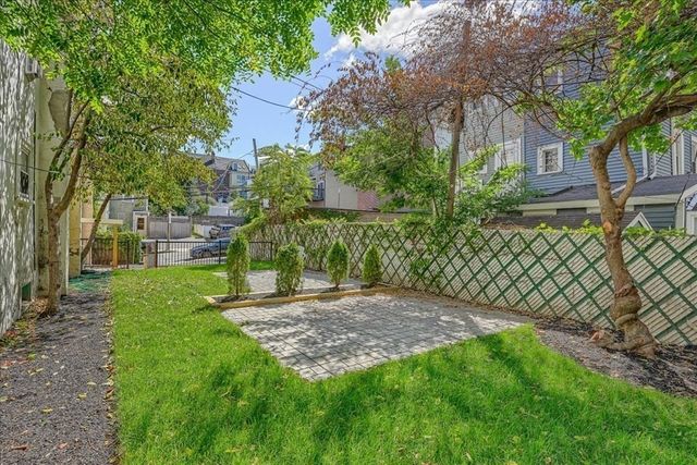 a view of a backyard with plants and trees