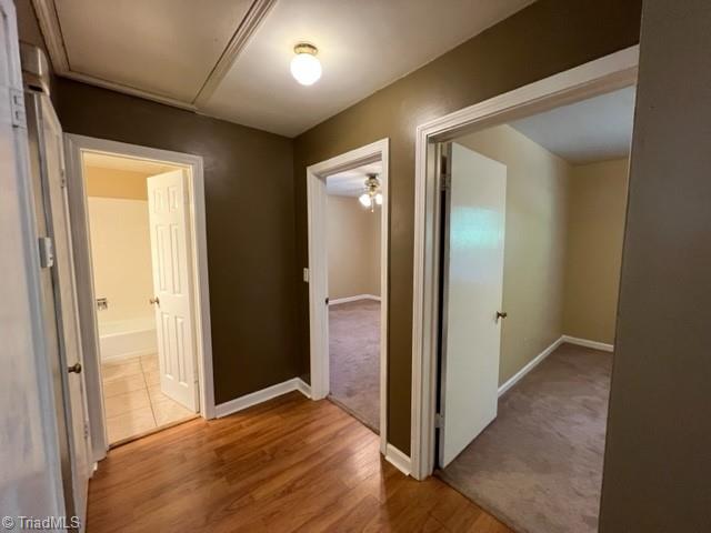 2041 South Hawthorne Road, Unit B Winston-Salem, NC 27103 - Photo 7 of 19