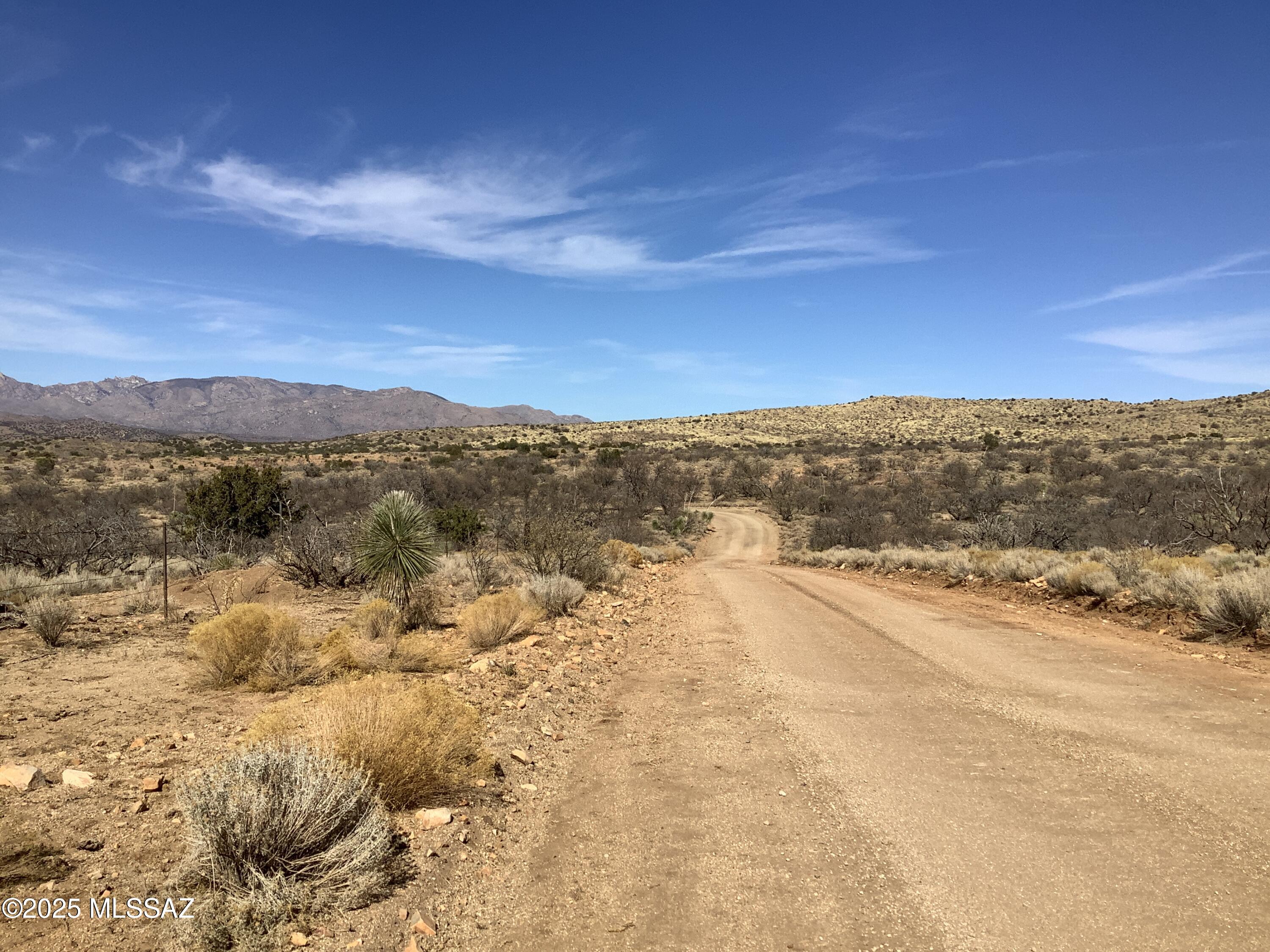 37.21-ac West Sheepwash Road, Unit 254 Willcox, AZ 85643 - Photo 34 of 37