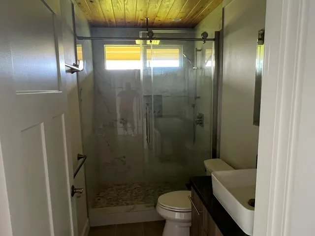 a bathroom with a shower and a toilet