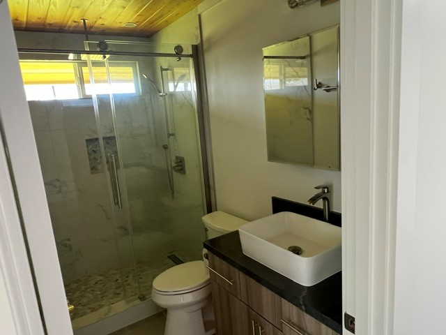 3880 Aka Road Koloa, HI 96756 - Photo 25 of 29 a bathroom with a sink a toilet and shower