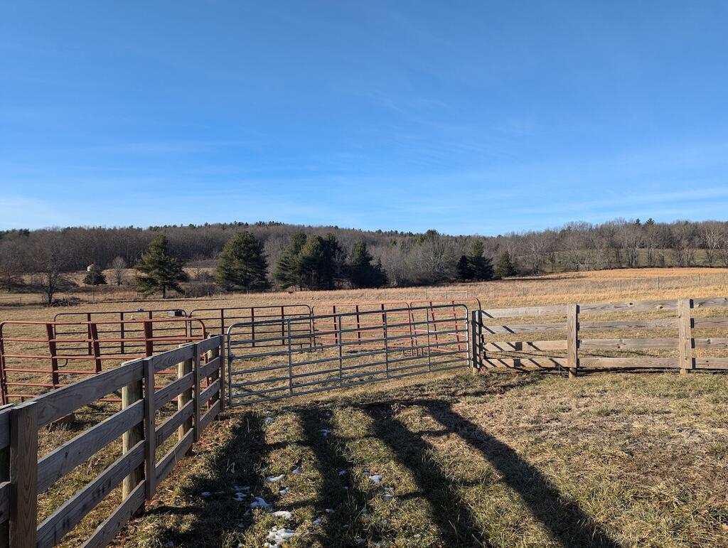 Tbd Firehouse Road Northwest Willis, VA 24380 - Photo 4 of 23 a view of a yard with wooden fence