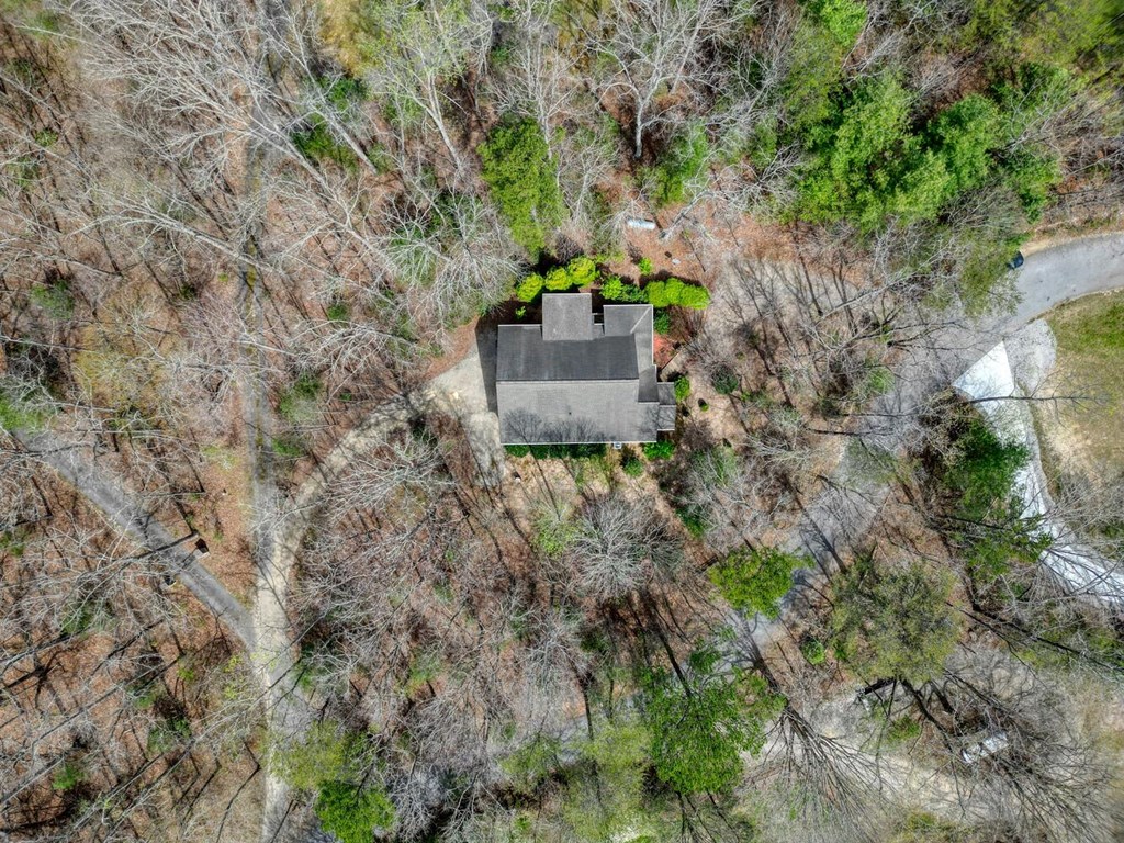 339 Henderson Road Young Harris, GA 30582 - Photo 45 of 51