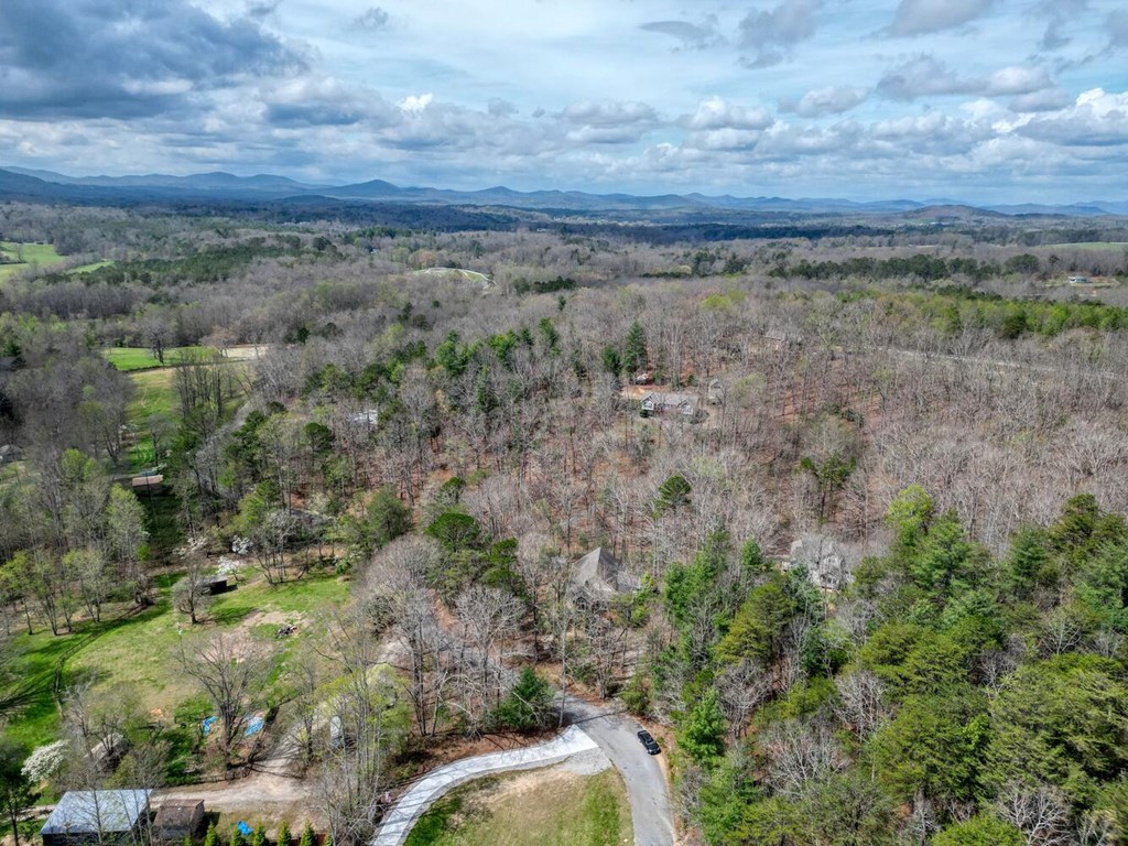 339 Henderson Road Young Harris, GA 30582 - Photo 48 of 51