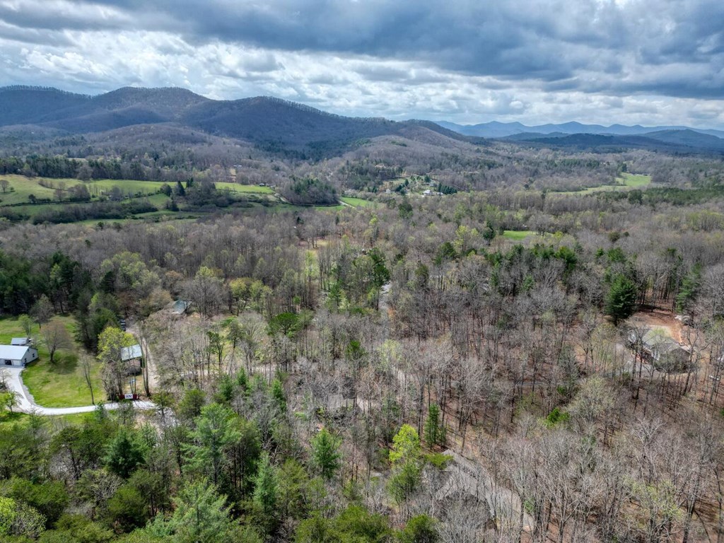 339 Henderson Road Young Harris, GA 30582 - Photo 49 of 51