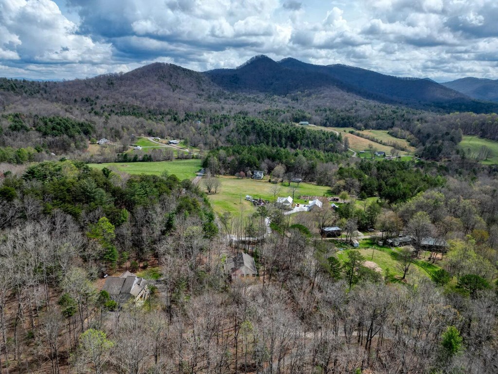 339 Henderson Road Young Harris, GA 30582 - Photo 50 of 51