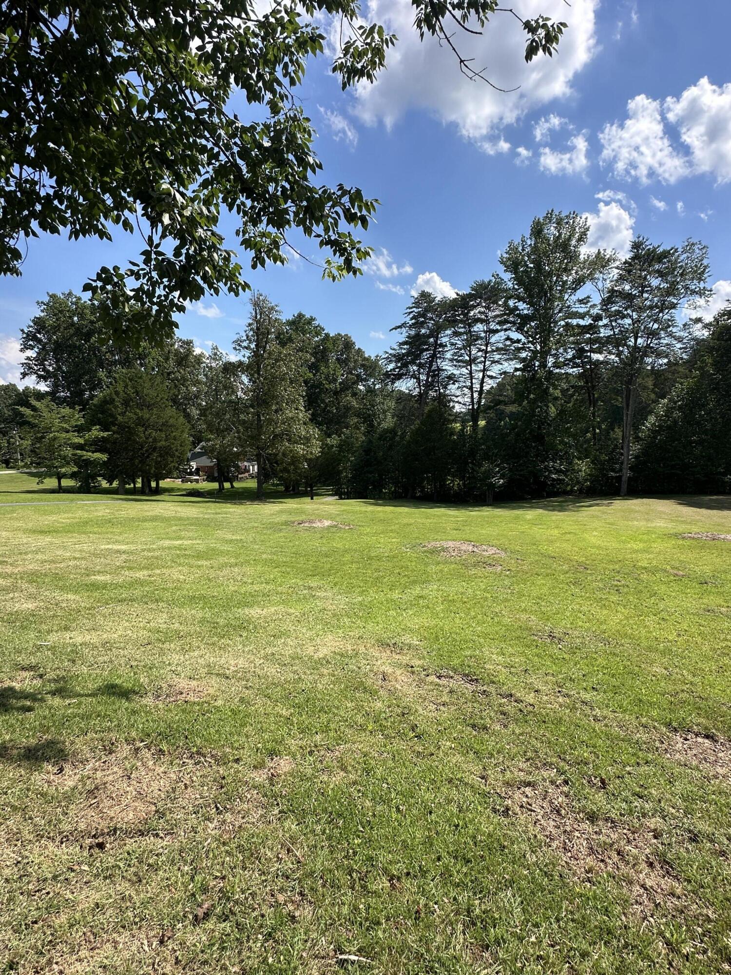 81 Lower Brow Road Dunlap, TN 37327 - Photo 19 of 22 IMG_4079