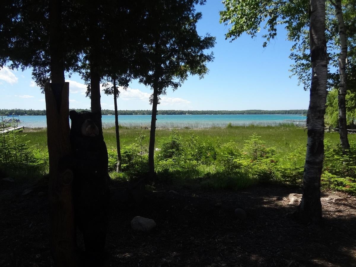 7868 Kauffman Road Presque Isle, MI 49777 - Photo 27 of 35 Gallery Image 27