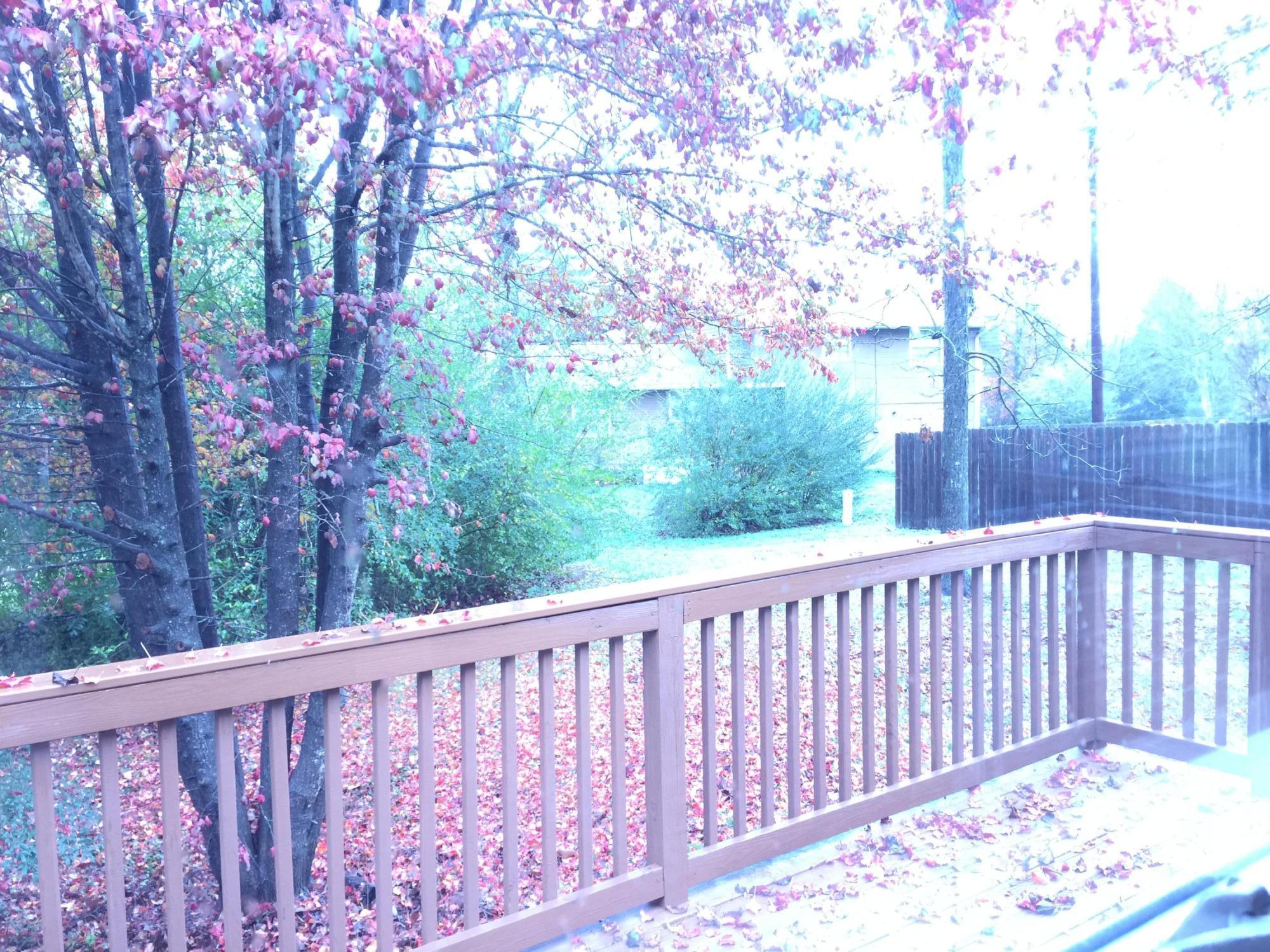 9213 River Oaks Road Harrison, TN 37341 - Photo 10 of 11 IMG_0224
