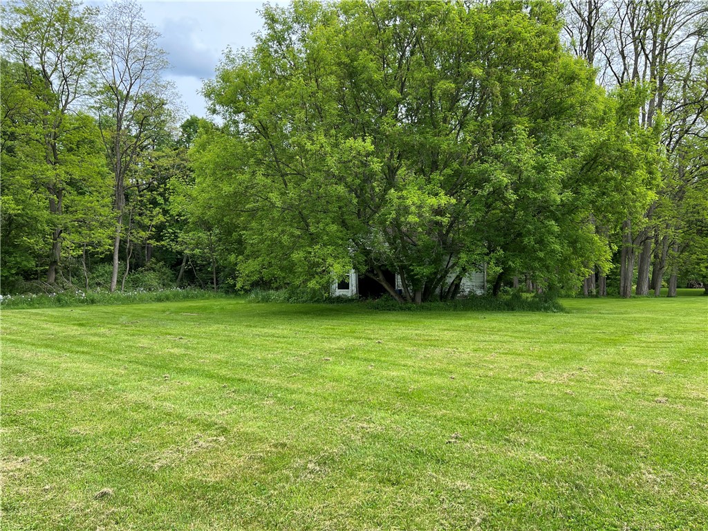 7130 Old Whitney Road Almond, NY 14804 - Photo 27 of 32