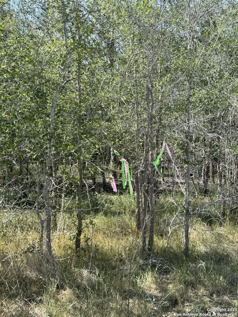 421 Kerr Avenue Sutherland Springs, TX 78161 - Photo 2 of 7 a view of a house with a lush green forest
