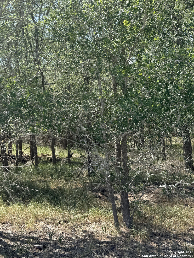 421 Kerr Avenue Sutherland Springs, TX 78161 - Photo 4 of 7 a view of outdoor space and trees