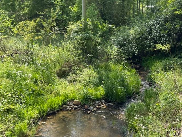 80 Tater Creek Road Murphy, NC 28906 - Photo 1 of 10 a view of a garden with plants