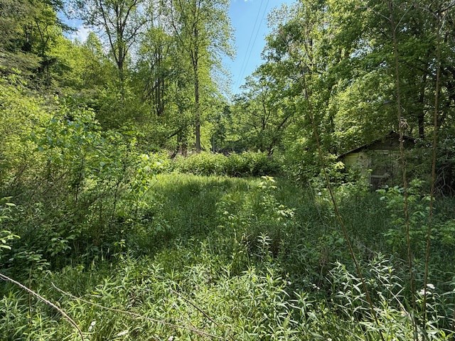 80 Tater Creek Road Murphy, NC 28906 - Photo 2 of 10 a view of a lush green forest