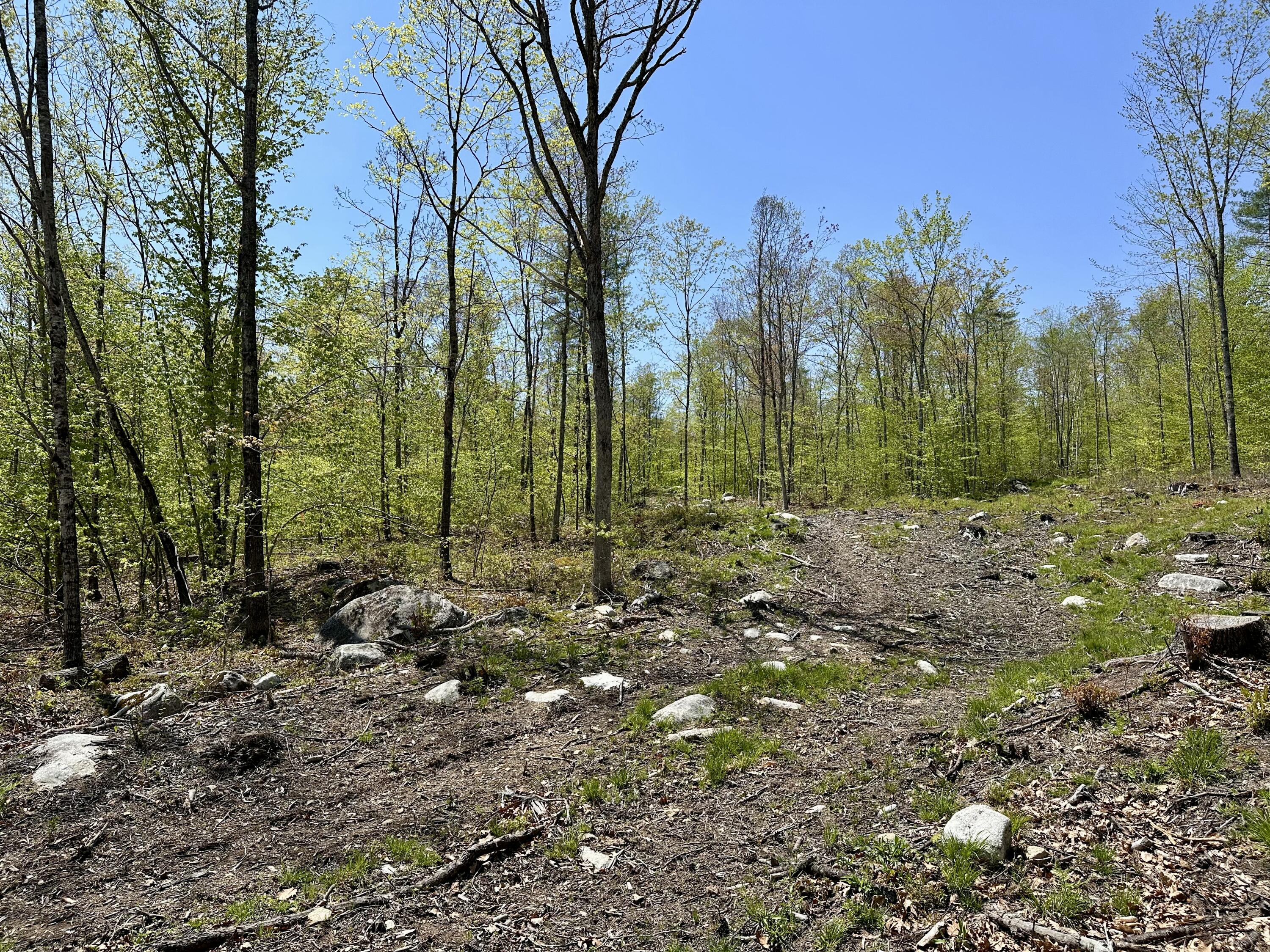 Lot 3-12b Johnson Road Gray, ME 04039 - Photo 11 of 15 56616A84-A456-482C-98D6-8C075AEED6F2_1_2