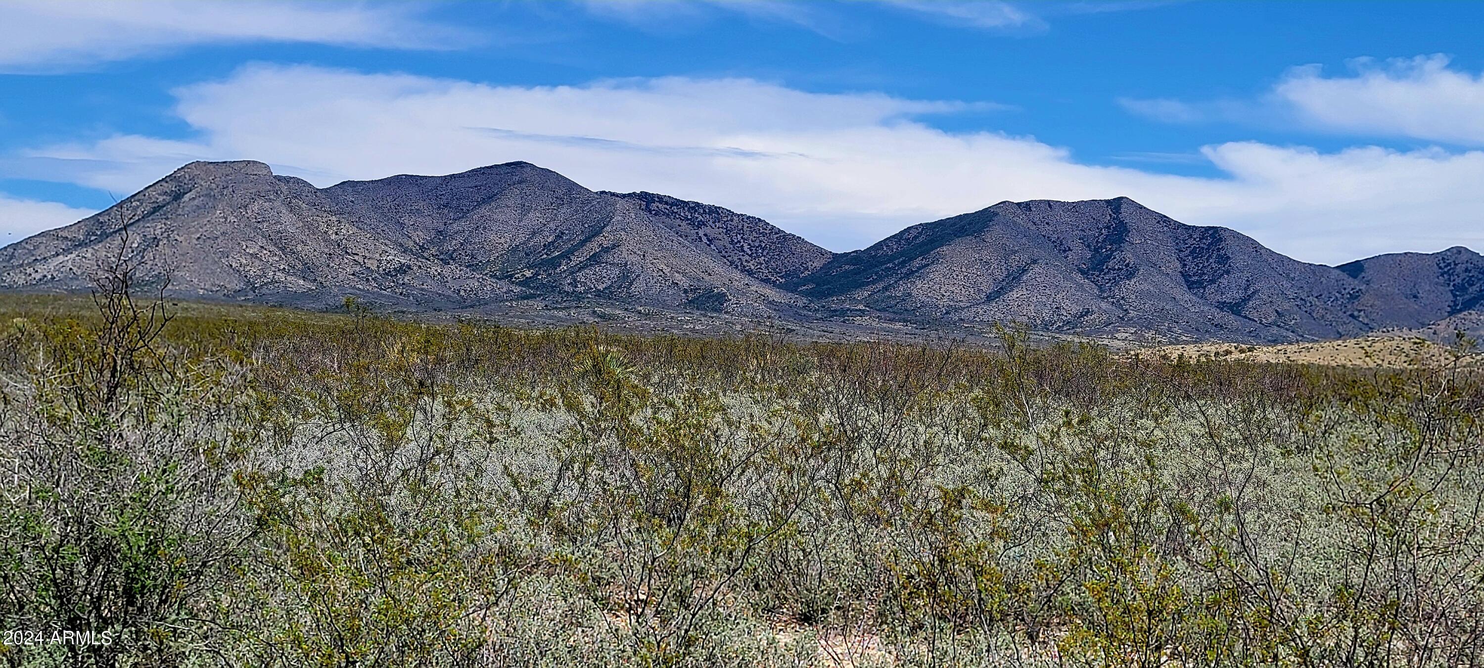 Lot 1 Middlemarch Road, Unit 1 Elfrida, AZ 85610 - Photo 1 of 10 Lot 1 Middlemarch Road