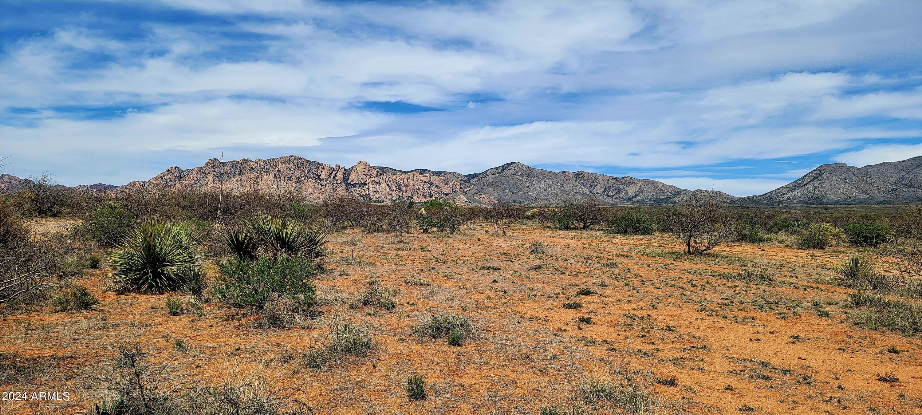 Lot 1 Middlemarch Road, Unit 1 Elfrida, AZ 85610 - Photo 5 of 10 Lot 1 Middlemarch Road