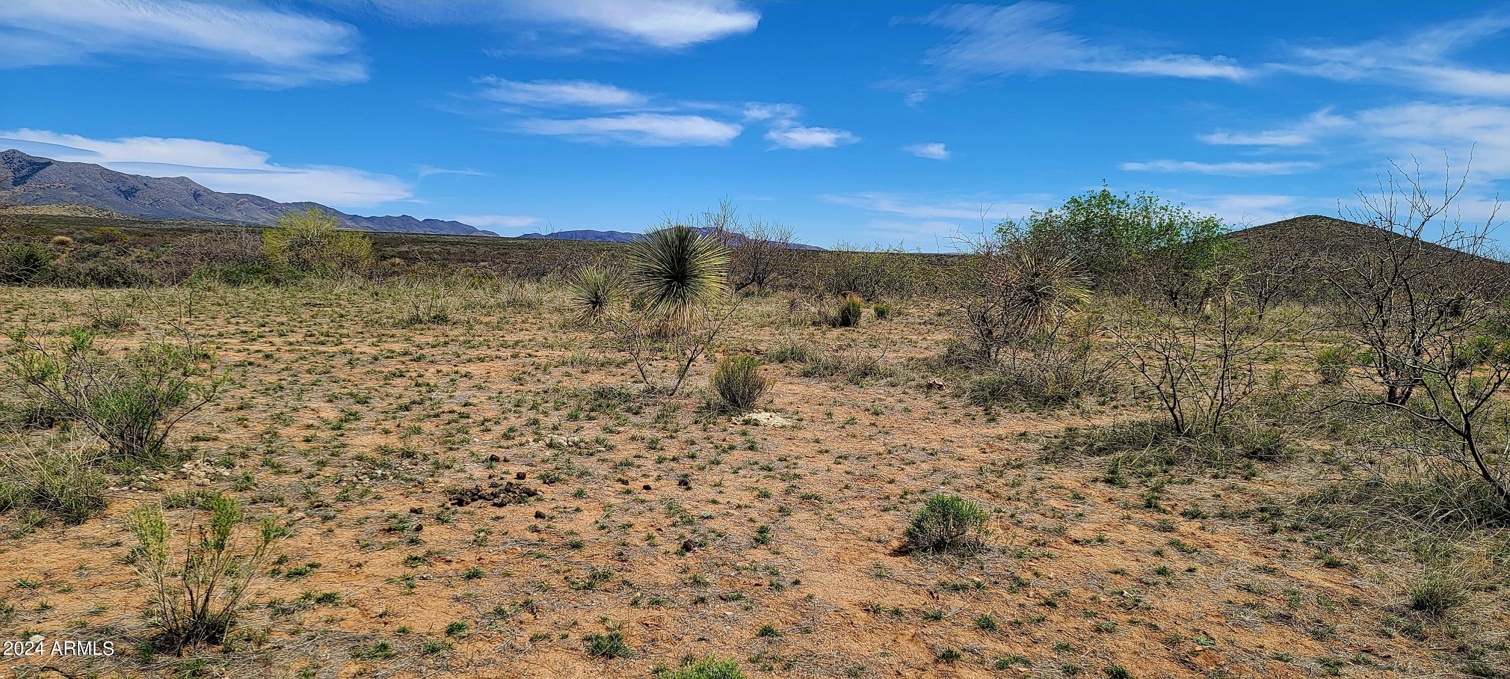 Lot 1 Middlemarch Road, Unit 1 Elfrida, AZ 85610 - Photo 10 of 10 Lot 1 Middlemarch Road
