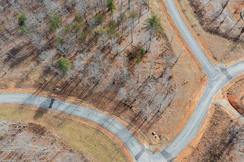 Lot 163 Ridge Drive Blue Ridge, GA 30513 - Photo 23 of 24 Gallery Image 23